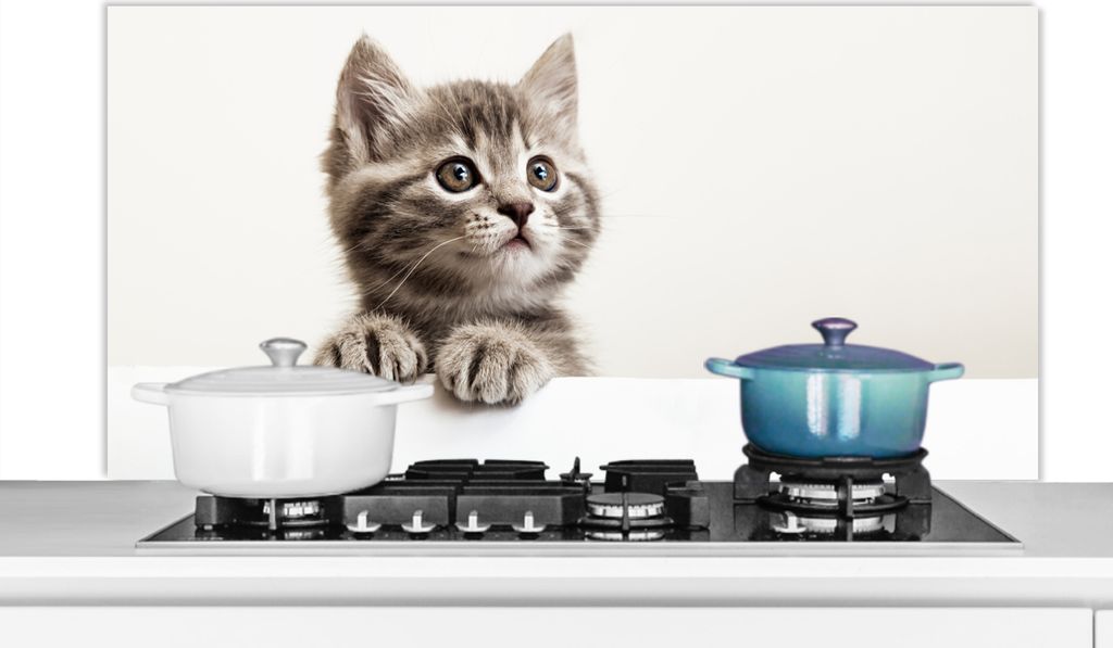 KitchenYeah Spritzschutz Küche - Küchenrückwand - Wandschutz für Herd und Spüle - Katze - Grau - Tiere 120x60 - Alu-Dibond (Alternative zum...