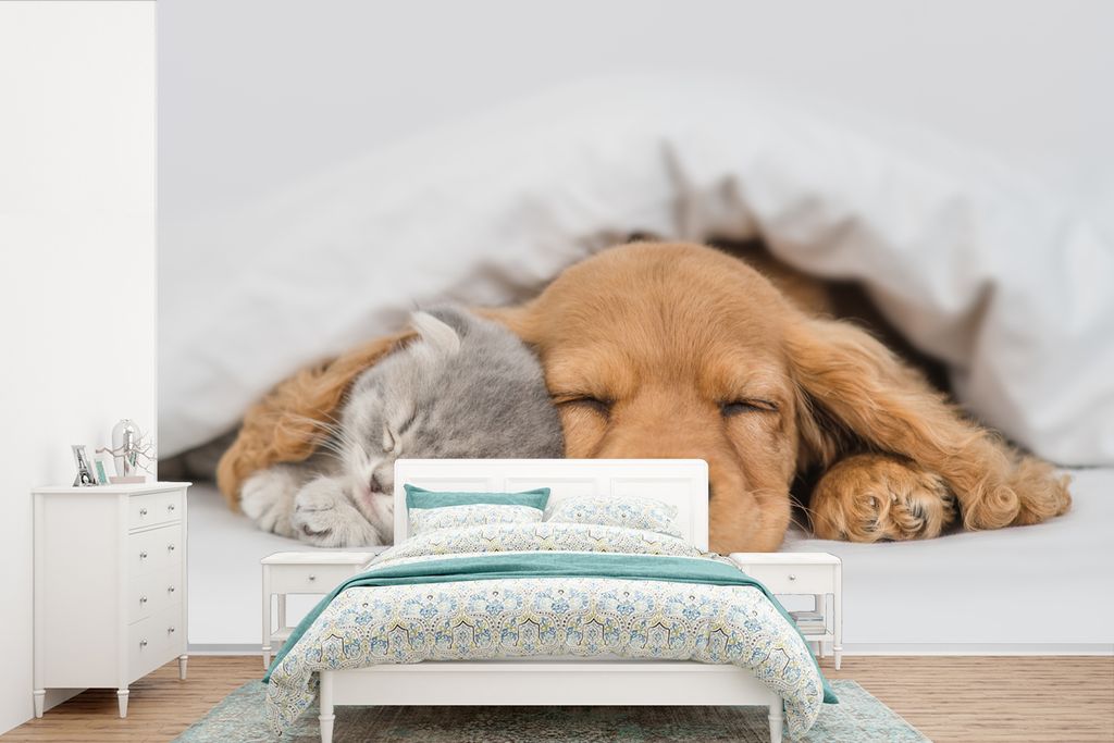 MuchoWow Fototapete für Wohnzimmer oder Schlafzimmer Wandtapete Vinyl Motivtapete Haustiere - Hund - Katze - Decke - 360x240 cm - Vinyl-Tapete