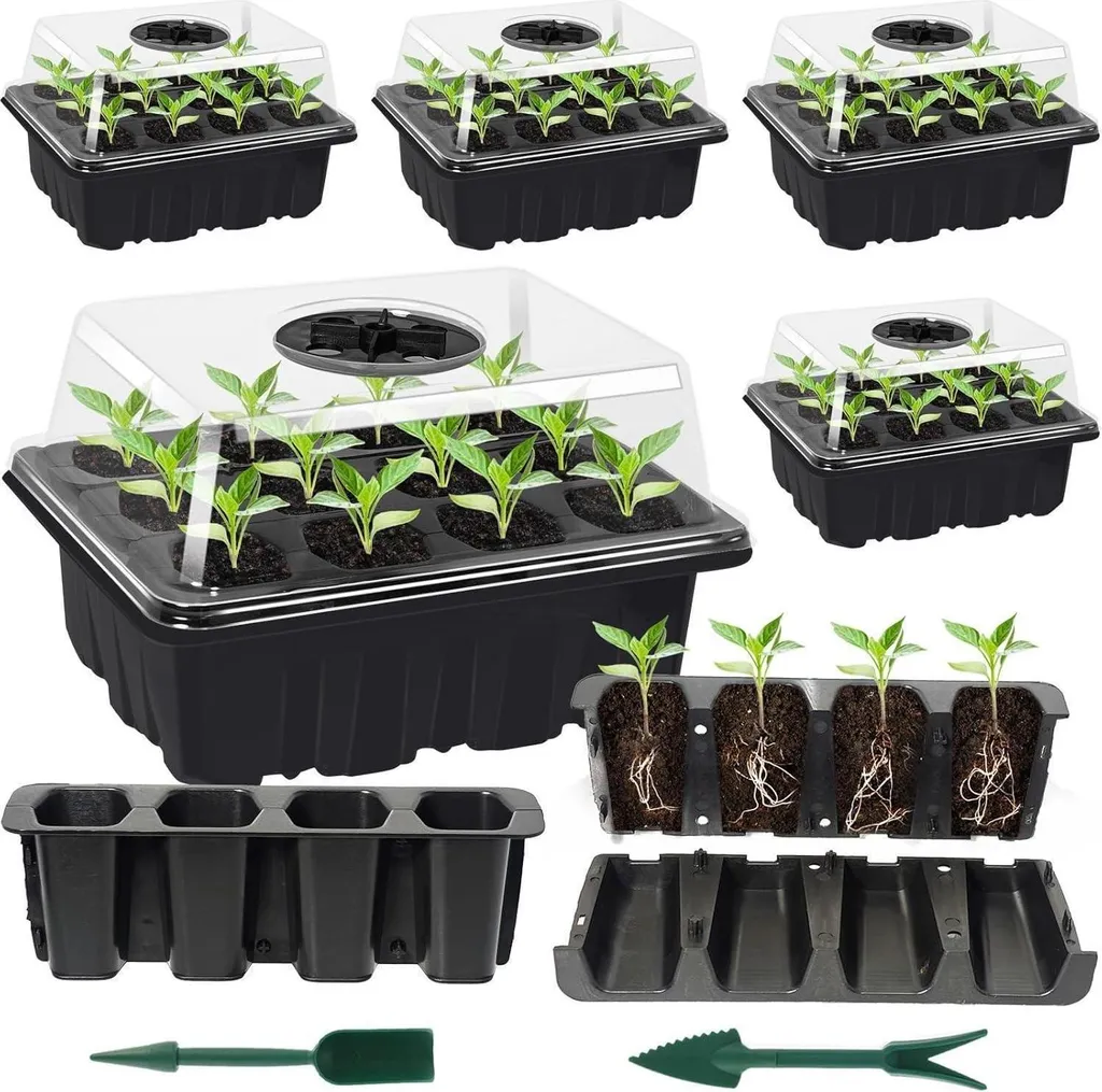 Serre de culture 6 pièces boîte de plantation pour semis maison