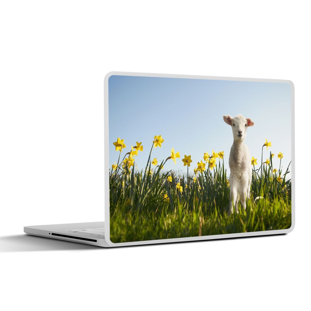 MuchoWow Laptop Aufkleber Sticker Cover Lamm - Blumen - Narzissen 32.5x23.5 cm - Sticker für Laptop - Selbstklebend