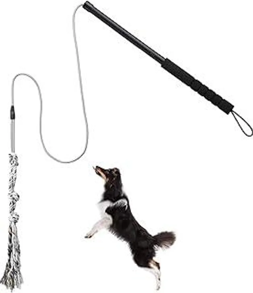 Flirt Pole per cuccioli di cane, giocattolo interattivo per la caccia e il tiro all'aperto, giocattolo Chase con corda, bastone resistente per l'agilità all'aperto e l'addestramento dei cani