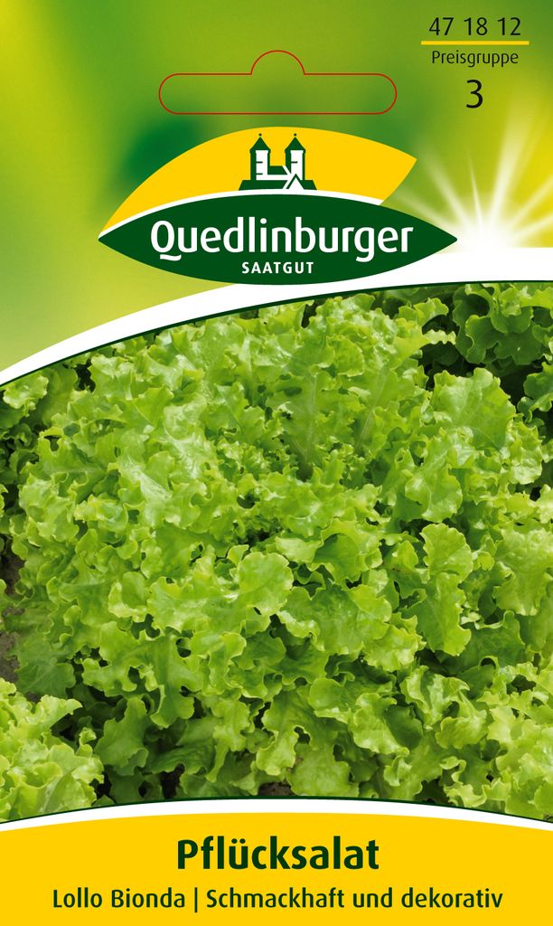 Pflücksalat 'Lollo bionda' Quedlinburger Salatsamen Produktbild 
