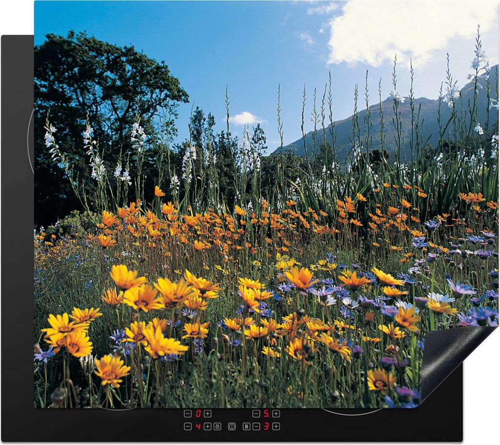 KitchenYeah Herdabdeckplatte Blumen - Natur - Farbe , 57x51cm, Küche Deko, Glaskeramikkochfeld Herdabdeckung, Abdeckplatte fùr Kochfeld