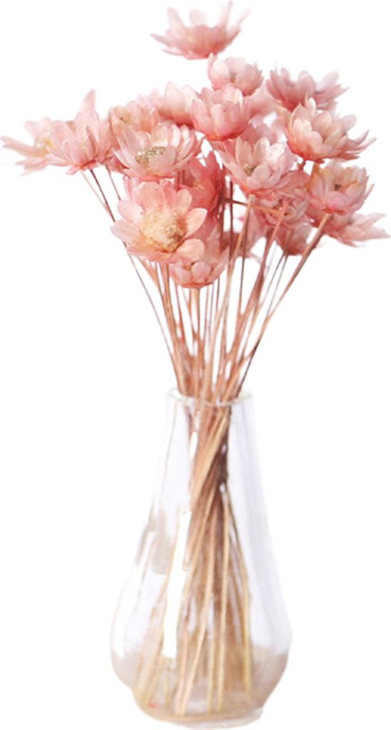 Mini Blume Vase Elegante Dekoration Kompakte Puppenhaus Mini Blumenschale für Kinder-Rosa