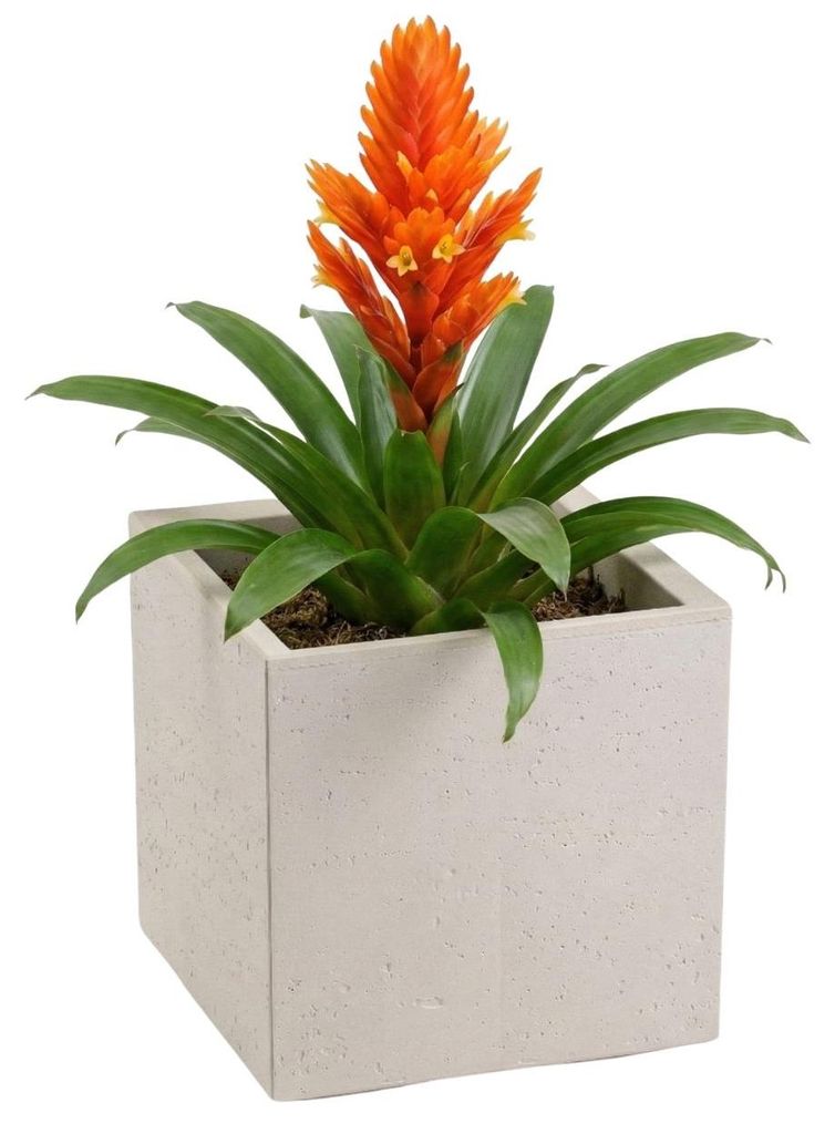 HowHomely | Květináč – květinový koš – béžový – 30 x 30 x Obrázek produktu 