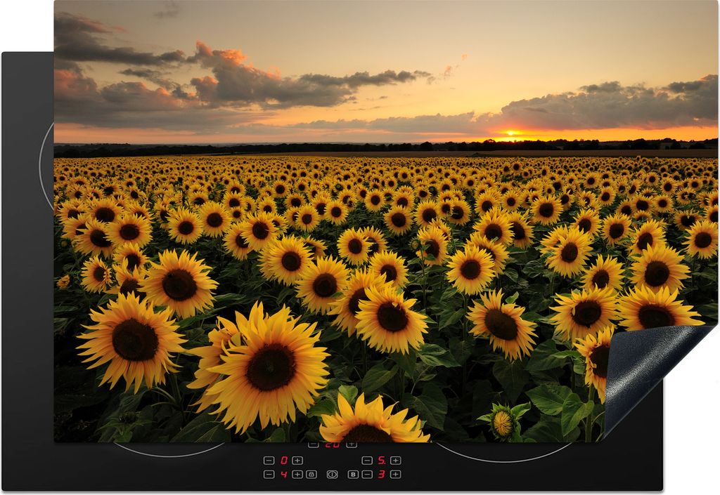 KitchenYeah Herdabdeckplatte Sonnenblumen bei Sonnenuntergang , 76x51cm, Küche Deko, Glaskeramikkochfeld Herdabdeckung, Abdeckplatte fùr Kochfeld