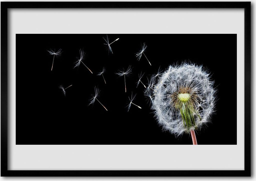 Bild 100x70 MDF-Rahmen Wandkunst Löwenzahn Blumen Natur Produktbild 