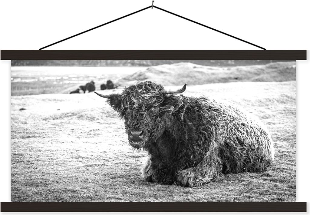 MuchoWow Textilposter Schottisches Hochlandrind - Berg - Tiere 60x30 cm mit schwarzem Rahmen - Textilien