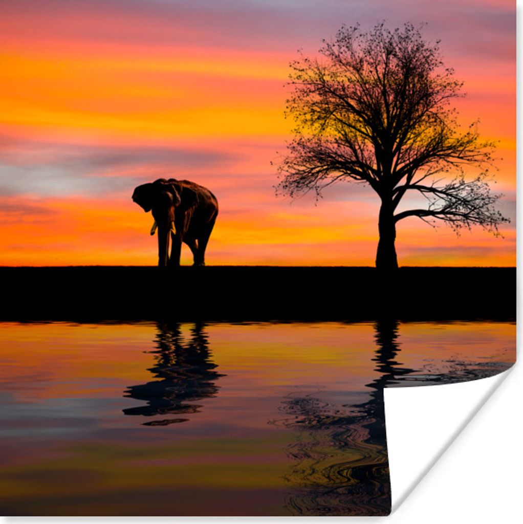 MuchoWow Poster Elefant und Sonnenuntergang 100x100 cm - Babyzimmer