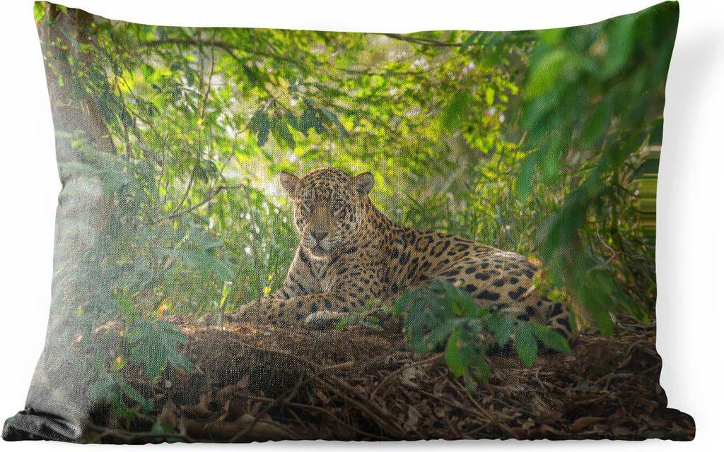 MuchoWow Outdoor Kissen - Jaguar im Dschungel - 50x30 cm - Wetterfest - Lounge Kissen - Sofa kissen - Wohnzimmer Dekoration