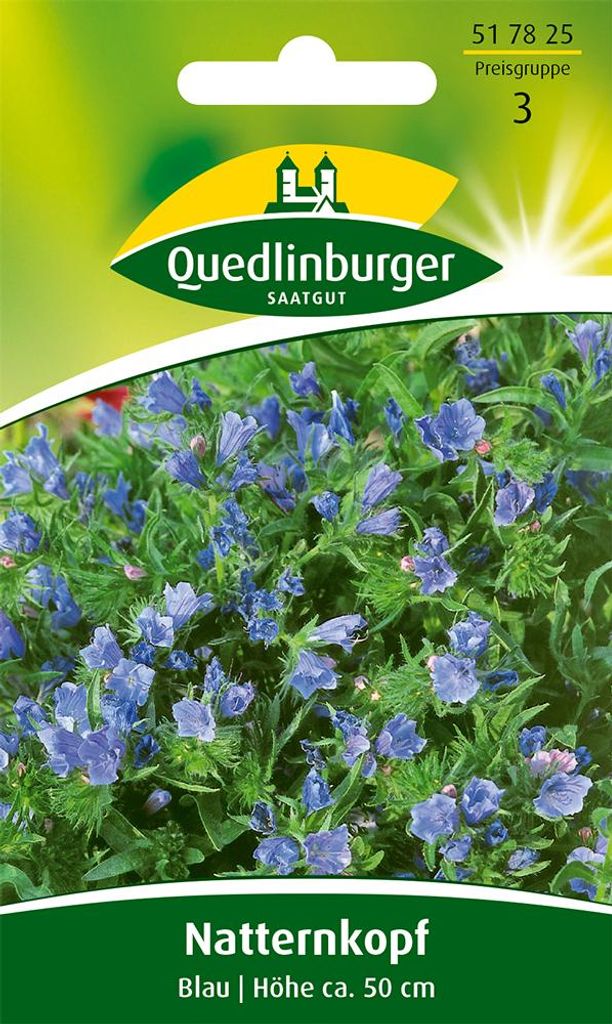 Bugloss di vipera blu Immagine del prodotto 