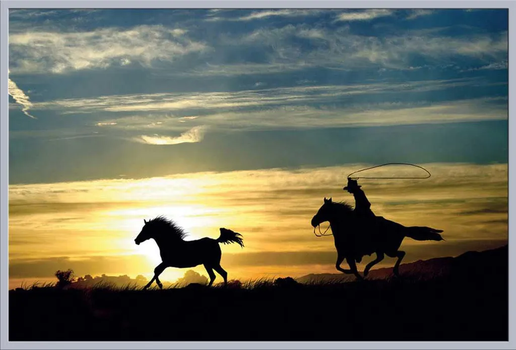 Affiche Laird Sunset Ride cadre argent Shinsuke Maxi vitre acrylique 61cm