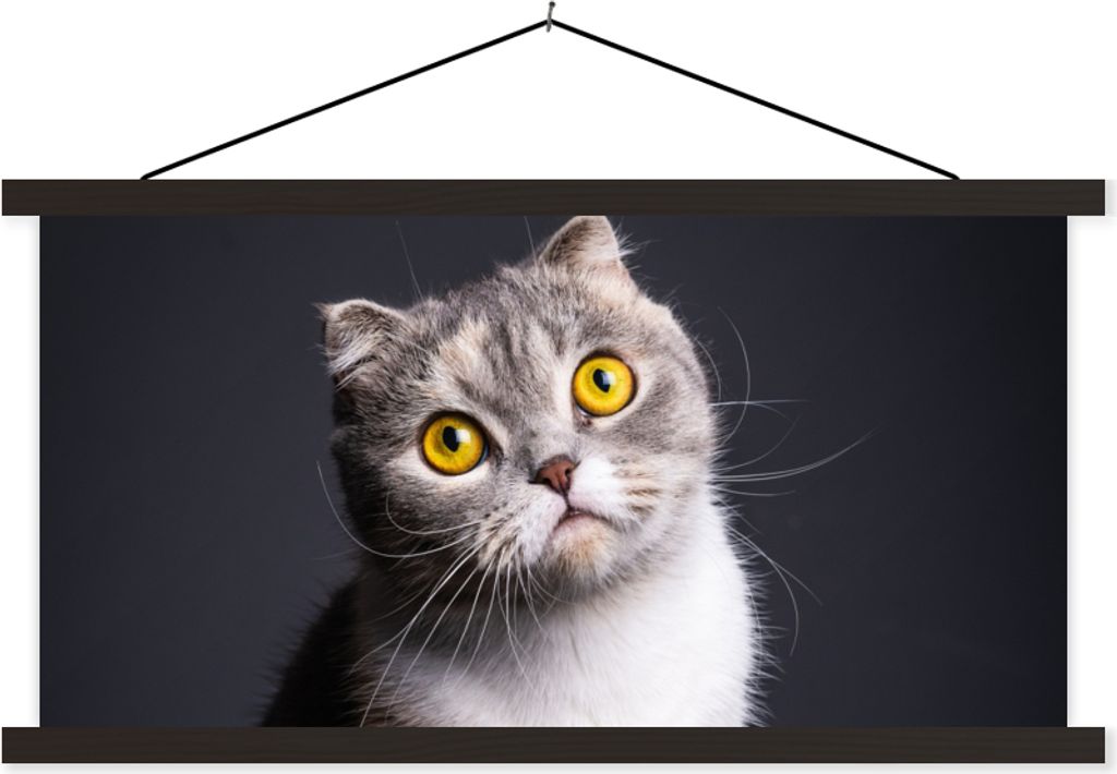 MuchoWow Textilposter Katze - Augen - Licht 60x30 cm mit schwarzem Rahmen - Textilien