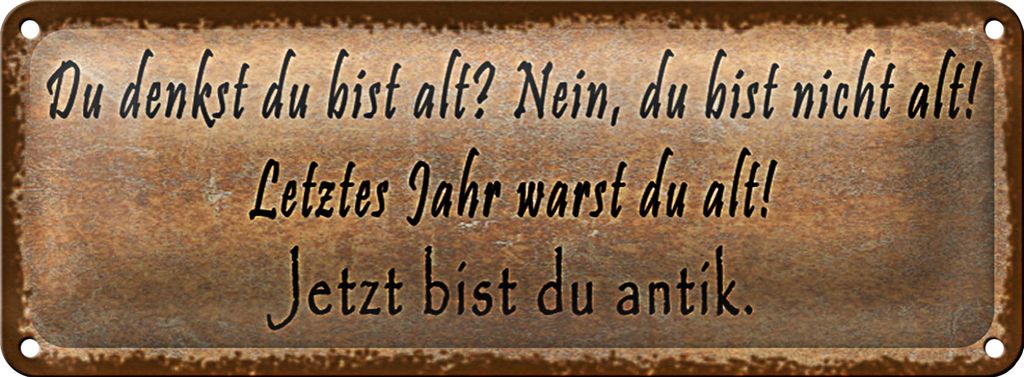 Blechschild Spruch 27x10cm du denkst du bist alt nein bist Dekoration