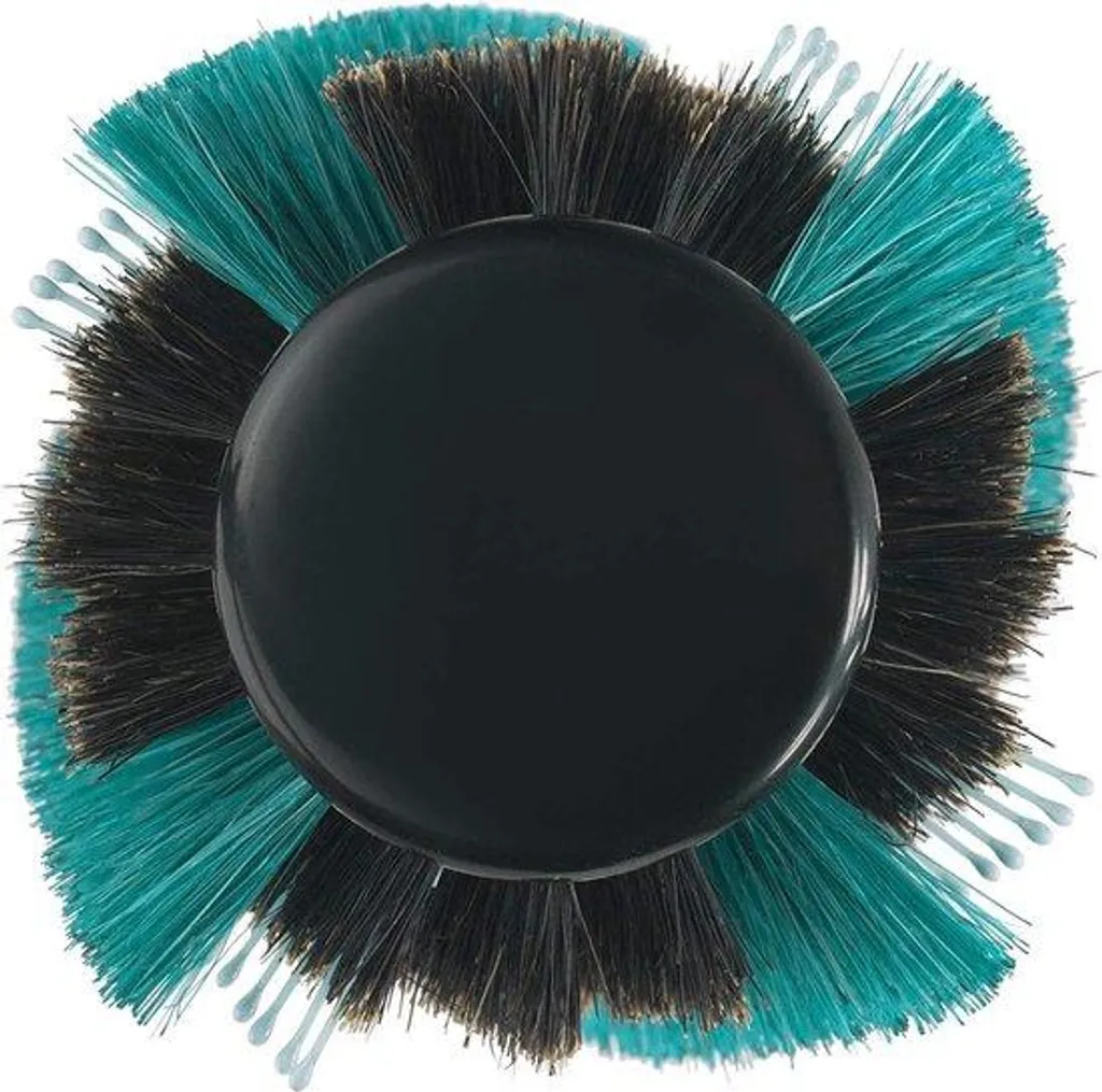 Adieu peau terne avec la brosse ronde corps à poils denses et brillants