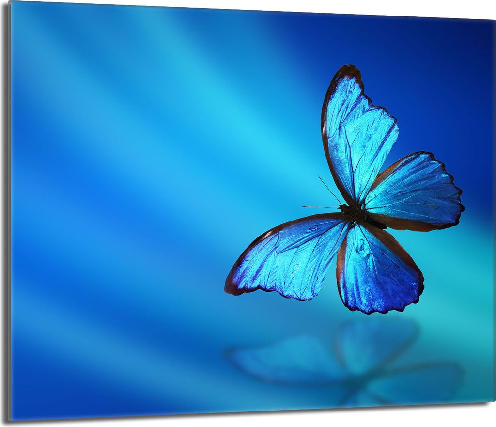 Glasschutzplatte für den Herd 60x52 Butterfly