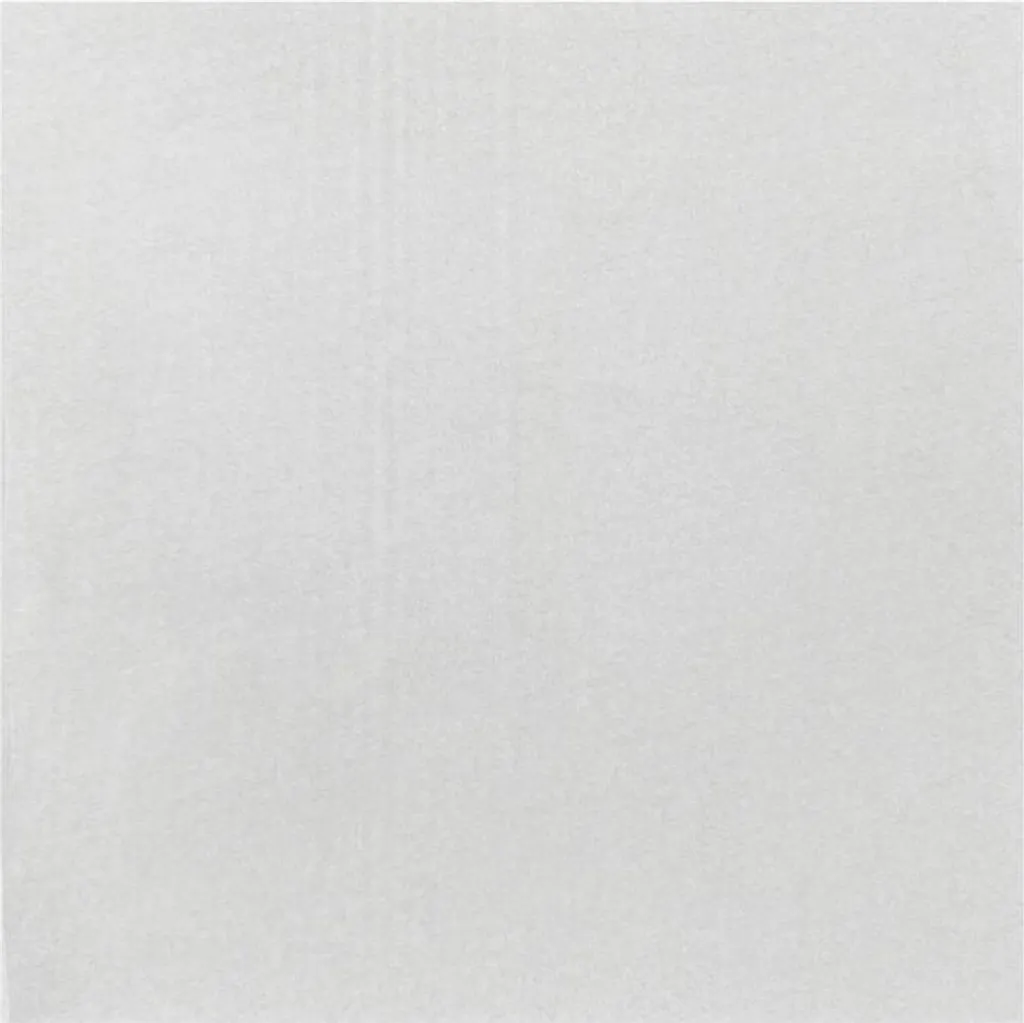 Papier anti-gras pour friture Fiesta blanc compostable 500x750mm x200