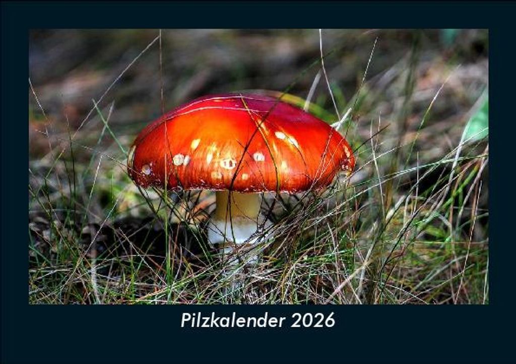 Pilzkalender 2026 Fotokalender - Querformat DIN A5, Monatskalender mit Bild-Motiven aus Fauna und Flora, Natur, Blumen und Pflanzen