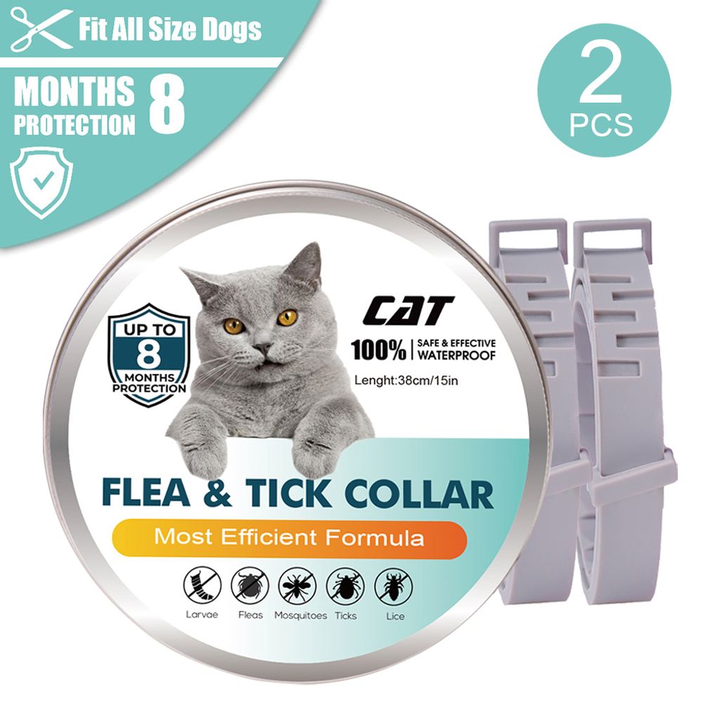 Hilft Ein Flohhalsband Wenn Die Katze Schon Flöhe Hat Flohhalsband für Katzen 8-monatige Floh- und | Kaufland.de