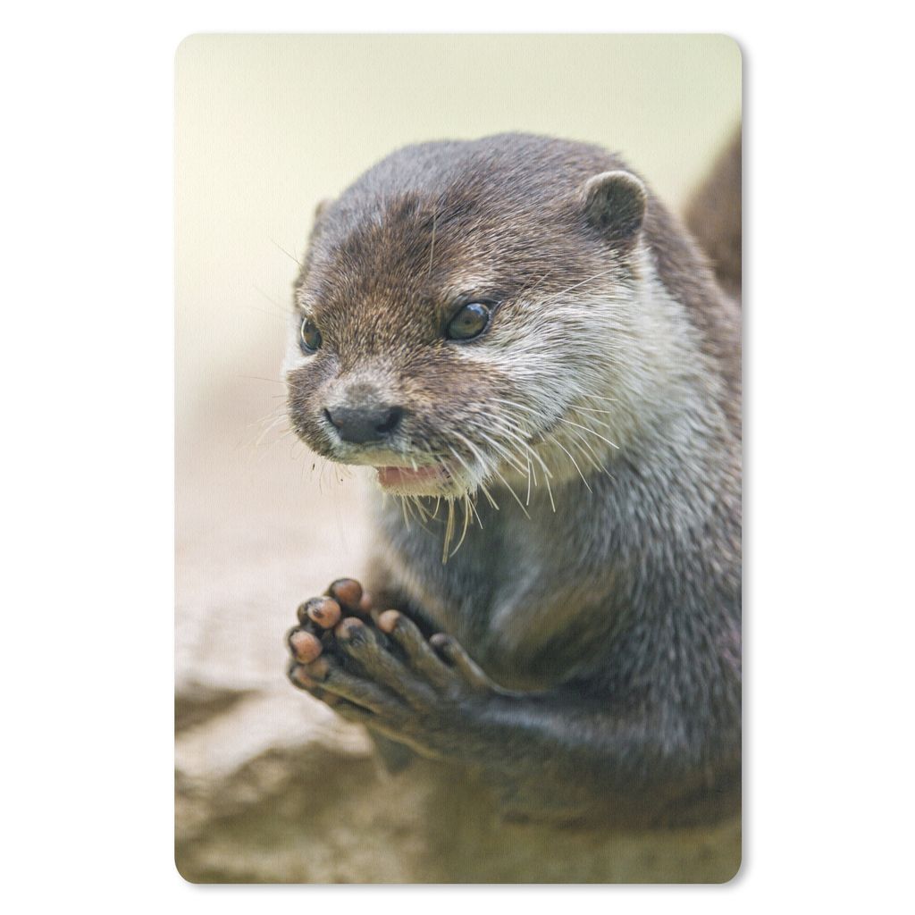 MuchoWow Mauspad Mousepad Ein Otter mit zusammengelegten Beinen 18x27 cm - Mousepads - Maus Mat - Pad - Mausunterlage