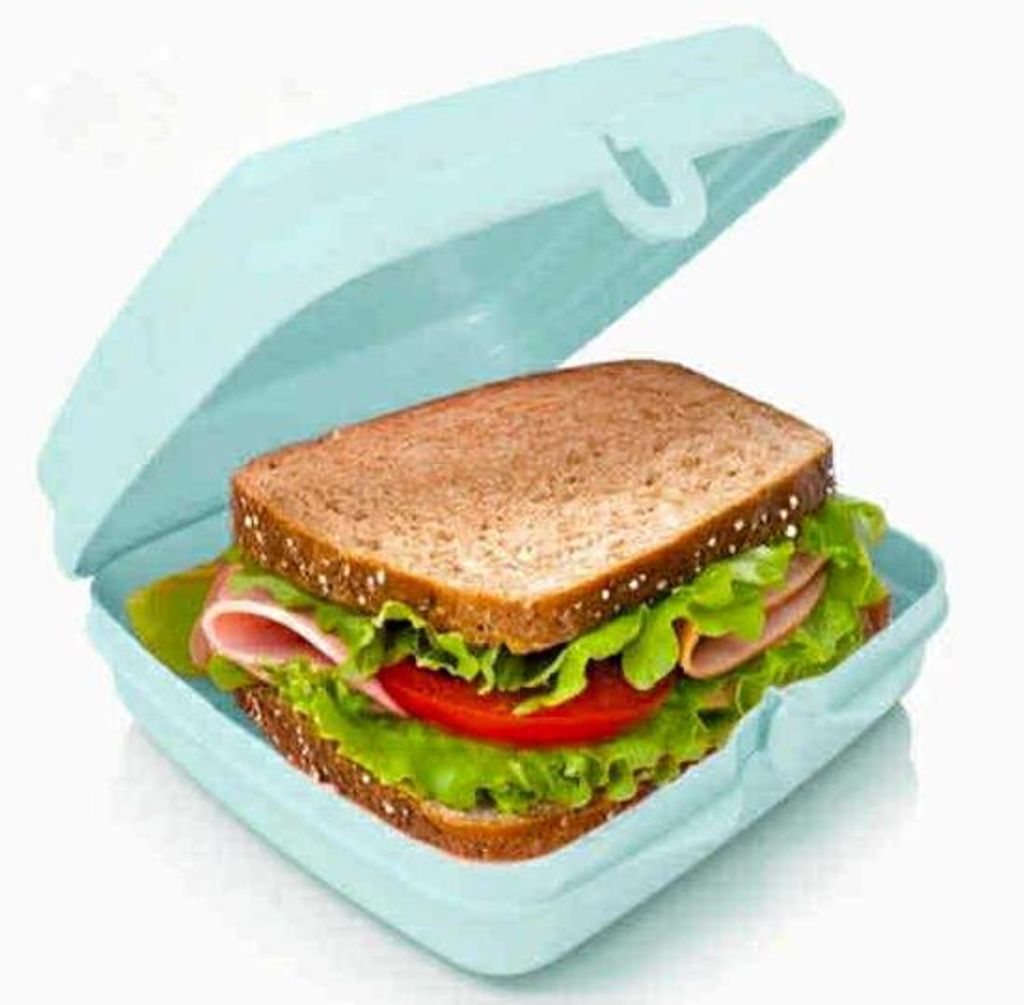 TUPPERWARE To Go Sandwich-Box blau Brotbox Schule Pausenbrotbehälter