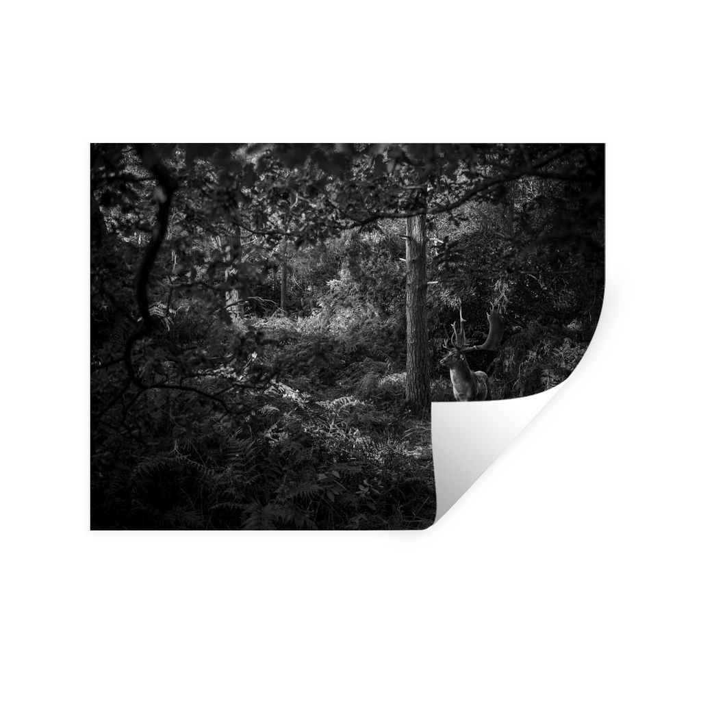 MuchoWow Wandtattoo Wandsticker Wandaufkleber Hirsch im Wald im Herbst - schwarz und weiß 160x120 cm Selbstklebend und Repositionierbar - Selbst...