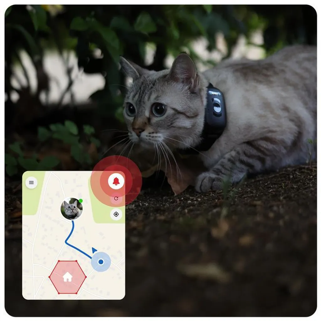 GPS Tracker Atto Pro Étanche IP67 - Localisation en Temps Réel Chat et Chien