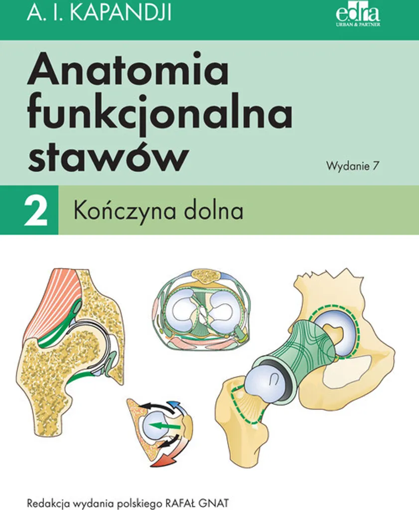 Livre de biomécanique Anatomia funkcjonalna stawów Tom 2 membre inférieur