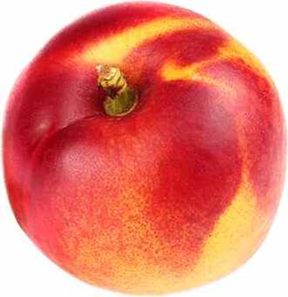 Zwergnektarine Prunus persica nucipersica Stämmchen 100–120 Produktbild 1