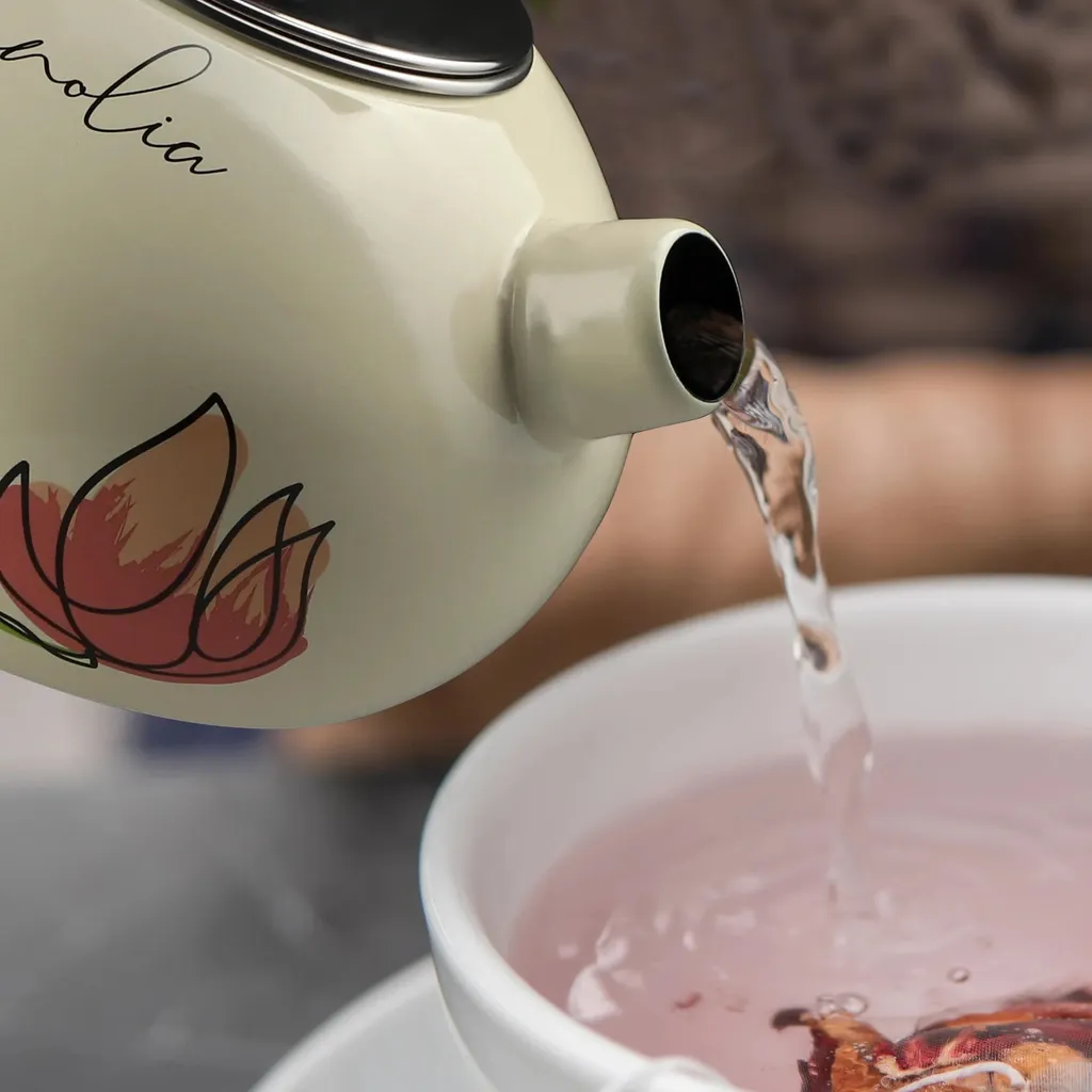 Bouilloire émaillée 2,2 L : la solution durable pour Gaz et Induction - 2