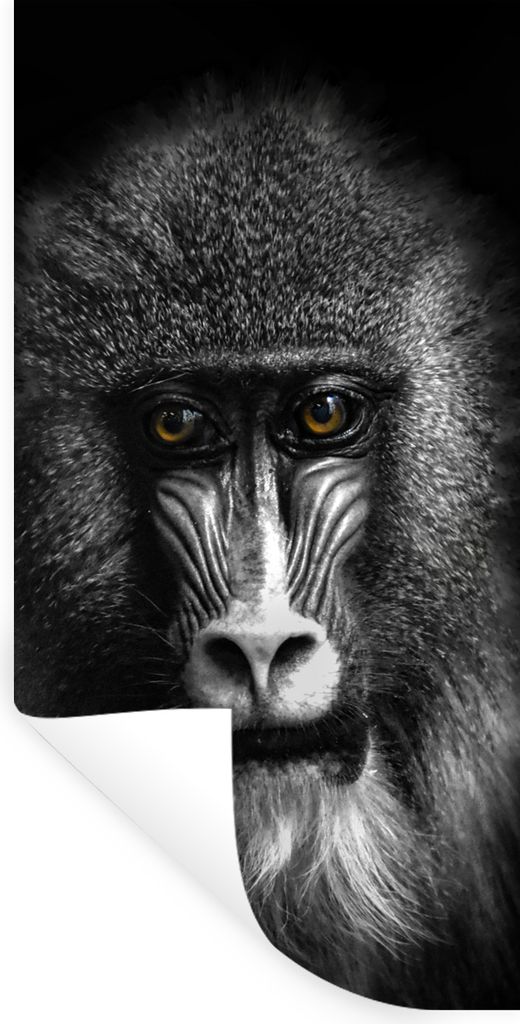 MuchoWow Wandtattoo Wandsticker Wandaufkleber Affe - Tiere - Augen - Braun - Schwarz und weiß 60x120 cm Selbstklebend und Repositionierbar - Sel...