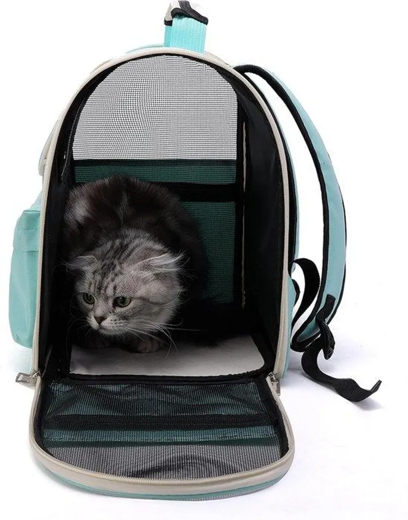 Cage de transport chat et petit chien - Panier de voyage rigide 1 kg