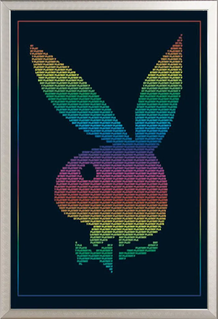 Poster Playboy Rainbow avec cadre Shinsuke Maxi alu argenté 61x91,5 cm
