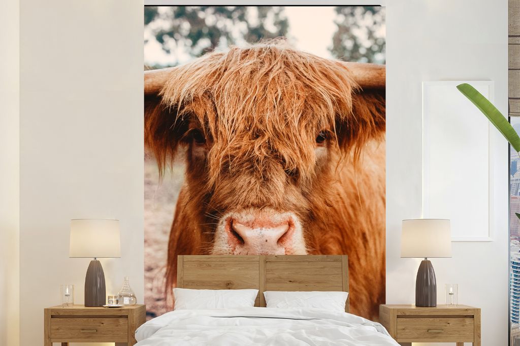 MuchoWow Fototapete für Wohnzimmer oder Schlafzimmer Wandtapete Vinyl Motivtapete Kuh - Schottischer Hochländer - Hörner - Braun - Landschaft ...