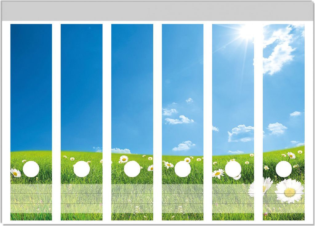 Wallario Ordnerrücken Sticker, selbstklebend für breite Ordner, 6 Stück, Motiv Sommerwiese - Weiße Gänseblümchen vor blauem Himmel