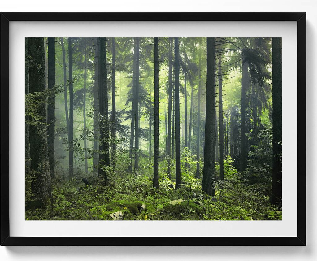 Landschaft mit Bäumen und Vegetation eines Waldes– Wandbild mit Rahmen – Gerahmtes Bild – Wanddekoration – 80x60 cm – Schwarz Rahmen