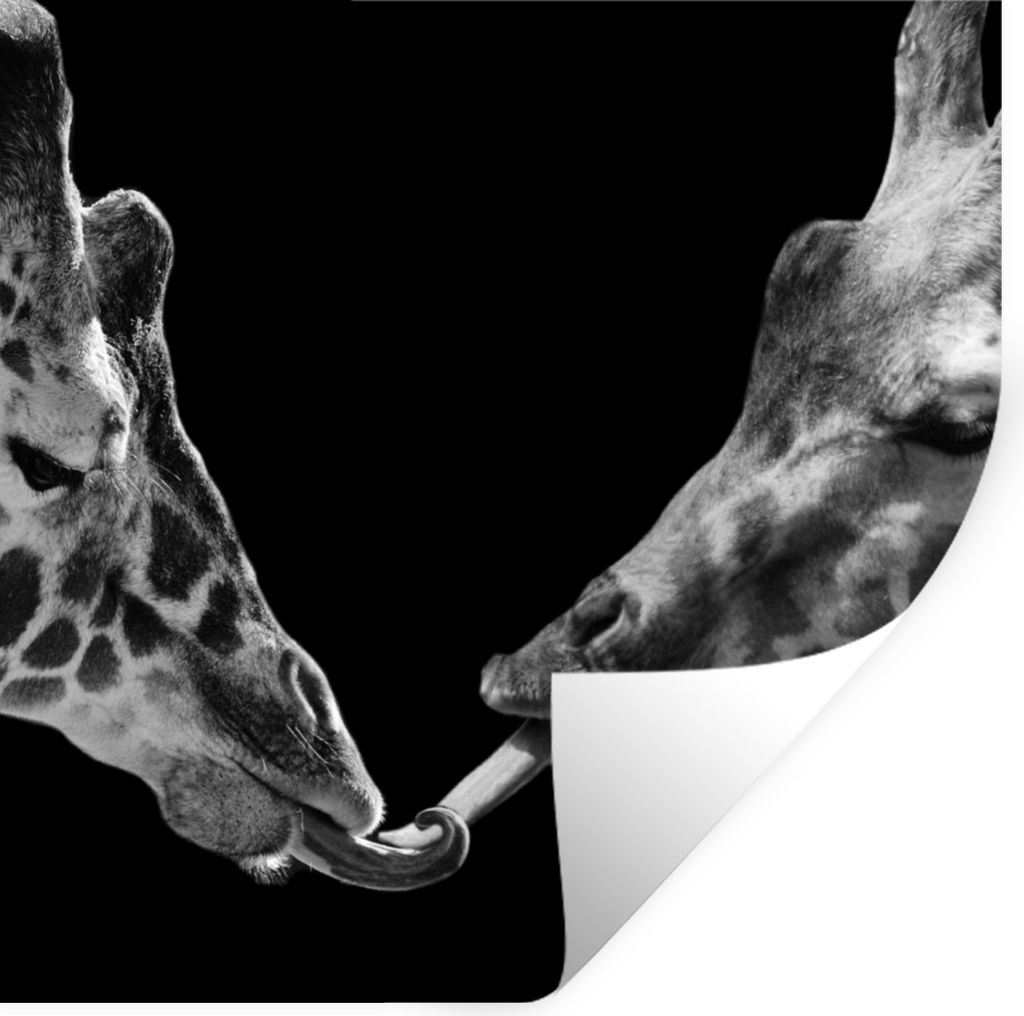 MuchoWow Wandtattoo Wandsticker Wandaufkleber Tiere - Schwarz - Giraffe - Weiß - Porträt 100x100 cm Selbstklebend und Repositionierbar - Wierde...