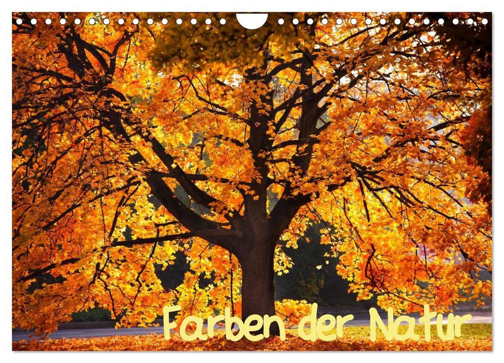 Farben der Natur (Wandkalender 2027 DIN A4 quer), CALVENDO Monatskalender