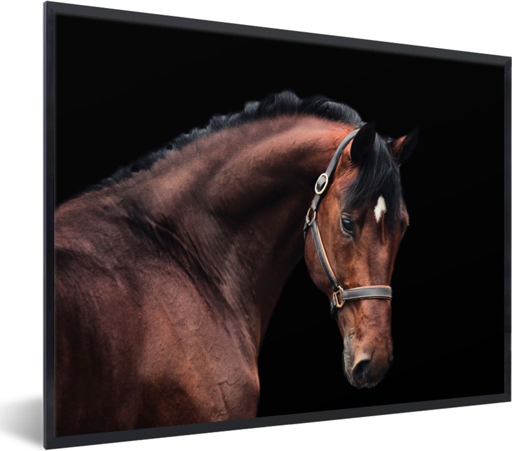 MuchoWow Gerahmtes Poster Pferd - Halfter - Braun 80x60 cm - Poster mit Schwarzem Bilderrahmen Wandposter Rahmen Foto Bilder - Schwarzem - Mit Ge...