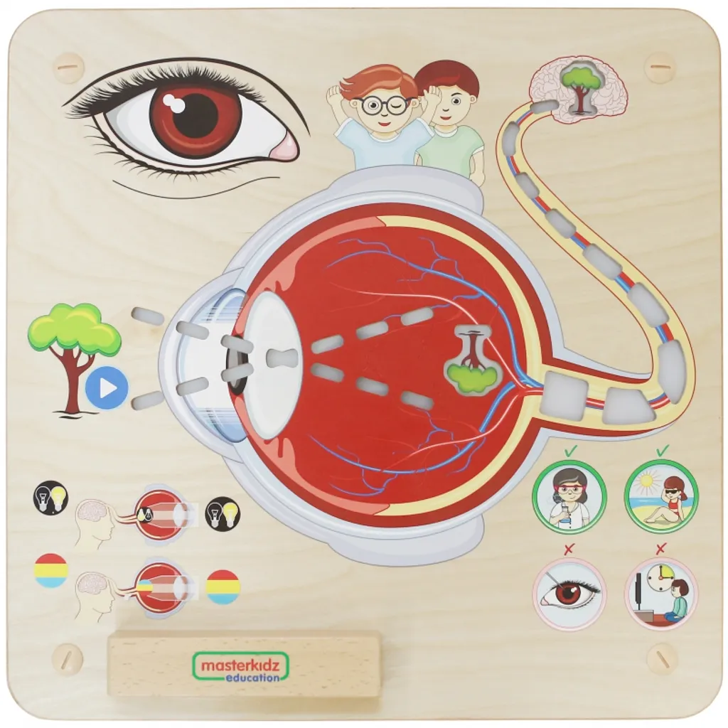 Matériel Montessori visuel Masterkidz pour stimuler l'enfant - 2