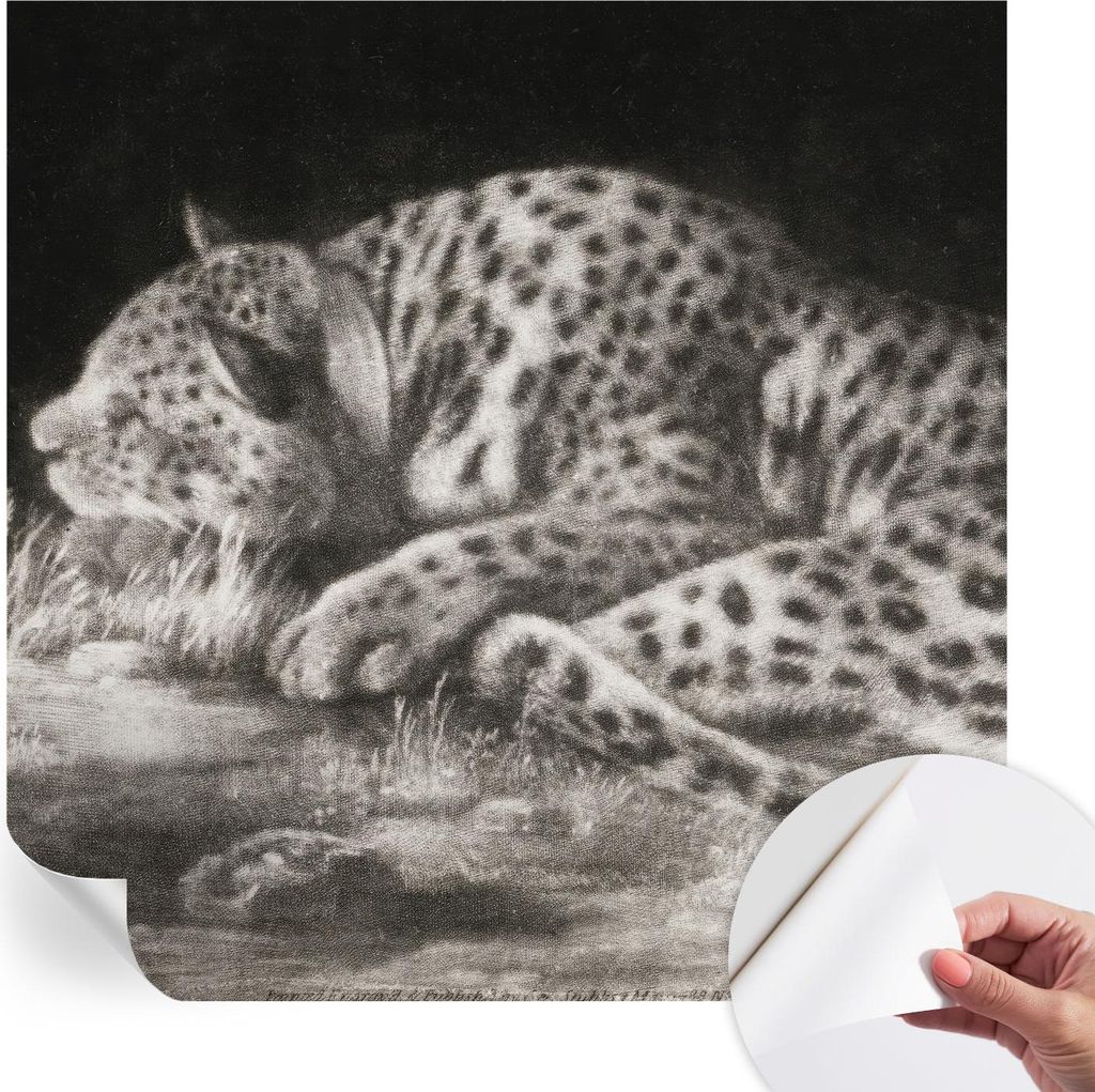 Selbstklebende Wandtapete - Dekorative Tapete für Wohnzimmer - Klebefolie für Wandbilder - Tapetenfolie für Wanddekoration - 250x250 cm - Leopar...