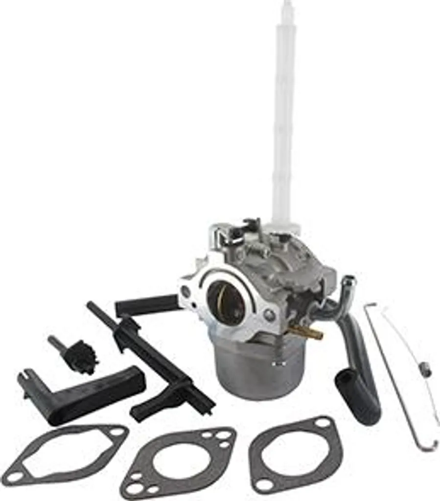 Carburateur de Rechange pour Moteur Briggs & Stratton 20m214 et 20c114