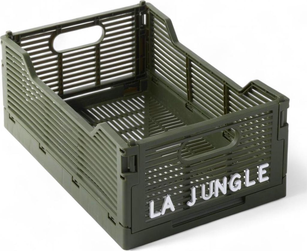 Klappkiste LE ROI DE LA JUNGLE