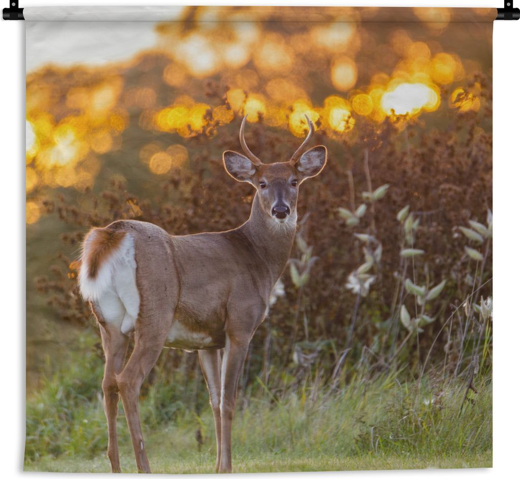MuchoWow Wandteppich Wandbehang Hirsche - Pflanzen - Sonnenuntergang - Wildtiere - Natur 90x90 cm Tapisserie Dekoration Wandtuch - Wandaufhänger