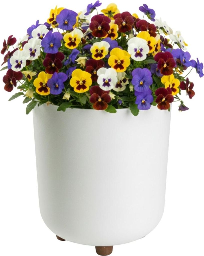 HowHomely | Blumentopf - Pflanzgefäß mit Füßen - 27 x 24 cm - creme - aus Recyclingmaterial - Pflanzkübel - Pflegeleicht