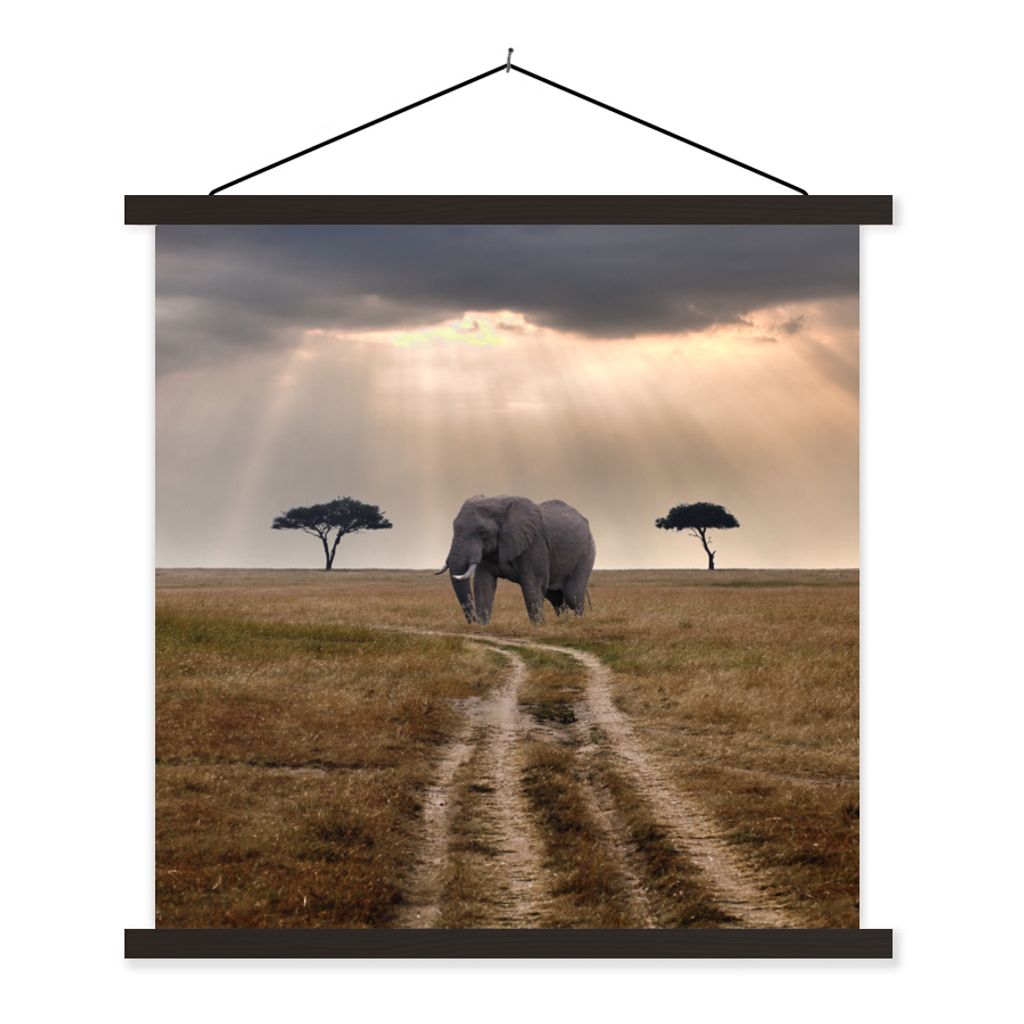 MuchoWow Textilposter Elefant - Tiere - Wiese - Sonne 60x60 cm mit schwarzem Rahmen - Posteraufhänger