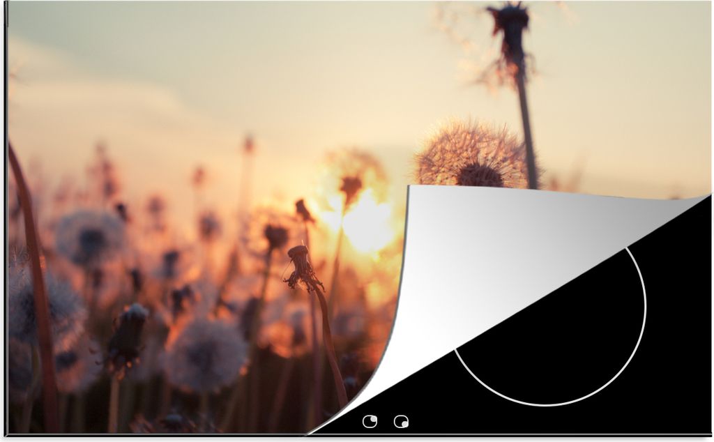 KitchenYeah Herdabdeckplatte Löwenzahn - Sonnenuntergang - Frühling , 83x51cm, Küche Deko, Glaskeramikfeld Herdabdeckung, Abdeckplatte fùr Ko...