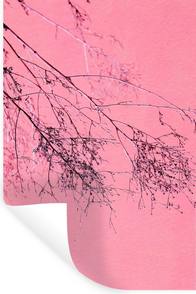 MuchoWow Wandtattoo Wandsticker Wandaufkleber Blumen - Zweige - Sommer 60x90 cm Selbstklebend und Repositionierbar - Sticker - Dekorfolie