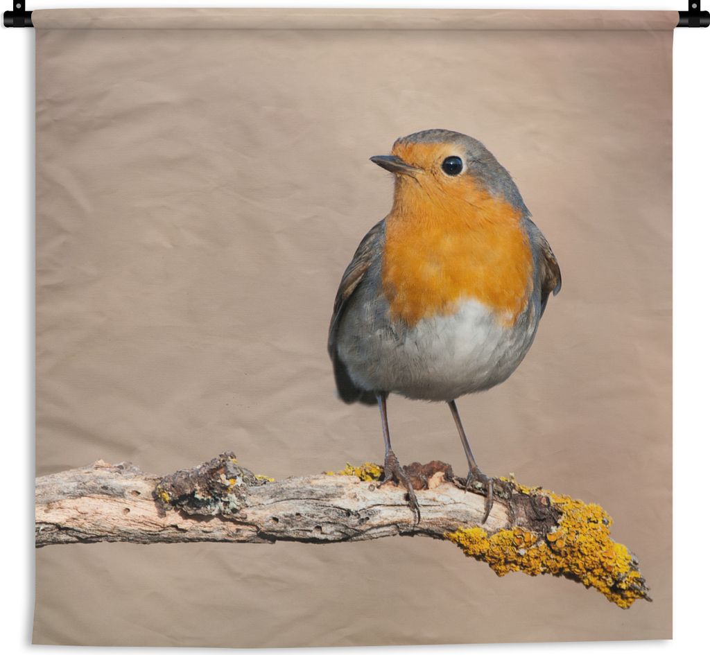 MuchoWow Wandteppich Wandbehang Rotkehlchen - Vogel - Zweig - Tiere 60x60 cm Tapisserie Dekoration Wandtuch - Dekorationen - Wand Decke