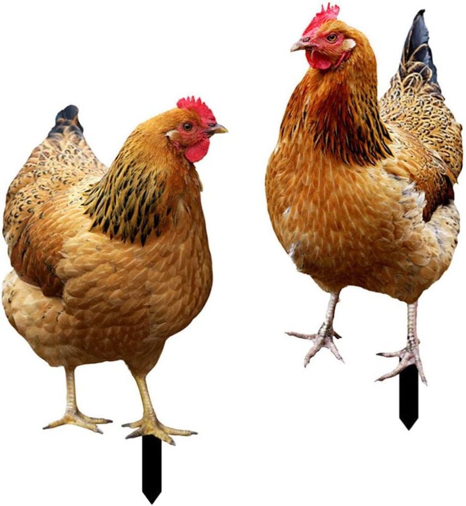 2 Stück Acryl-Simulation, dreidimensional, doppelseitig, dekorative Dekorationen für den Garten für Steine